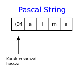 pascal_string.png